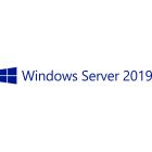 P11058-B21 Hewlett Packard Enterprise Microsoft Windows Server 2019 1 license(s)